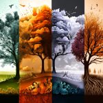 Collage of four seasons of the year. Autumn, winter, spring, summer. Generative AI