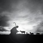 jesus-sheep 1400×1400